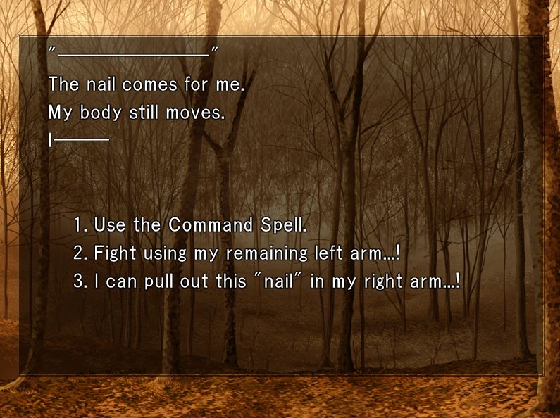 fsn_shot4